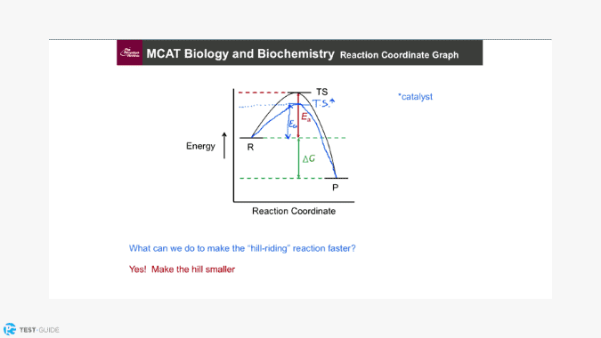 Princeton Review MCAT Screenshot 6